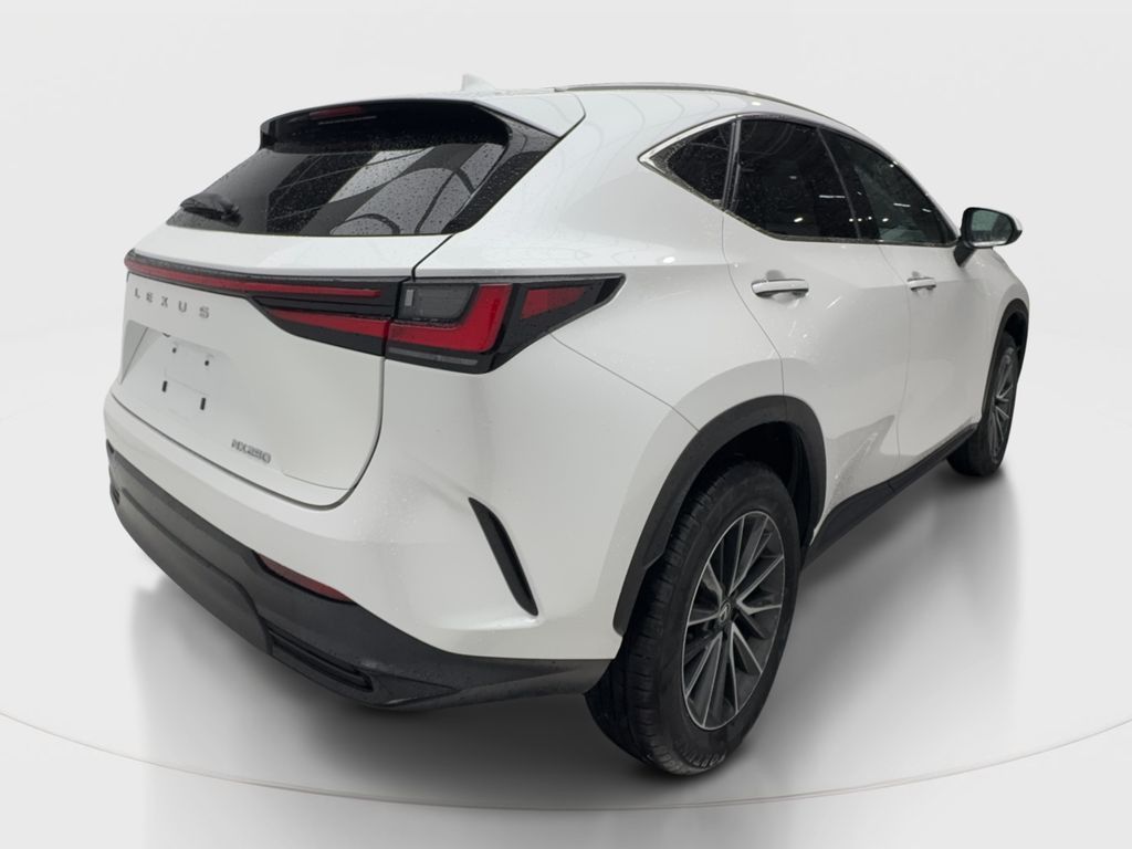 2024 LEXUS NX - photo 7