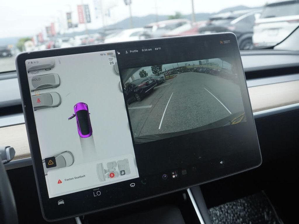 2019 TESLA Model 3 - photo 13