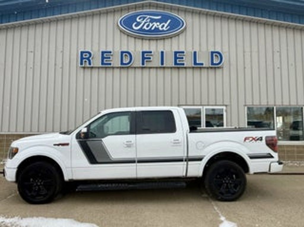 2014 FORD F-150 - main photo